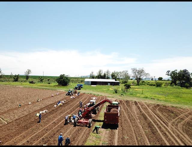 50HA FARM FOR SALE IN WEENEN